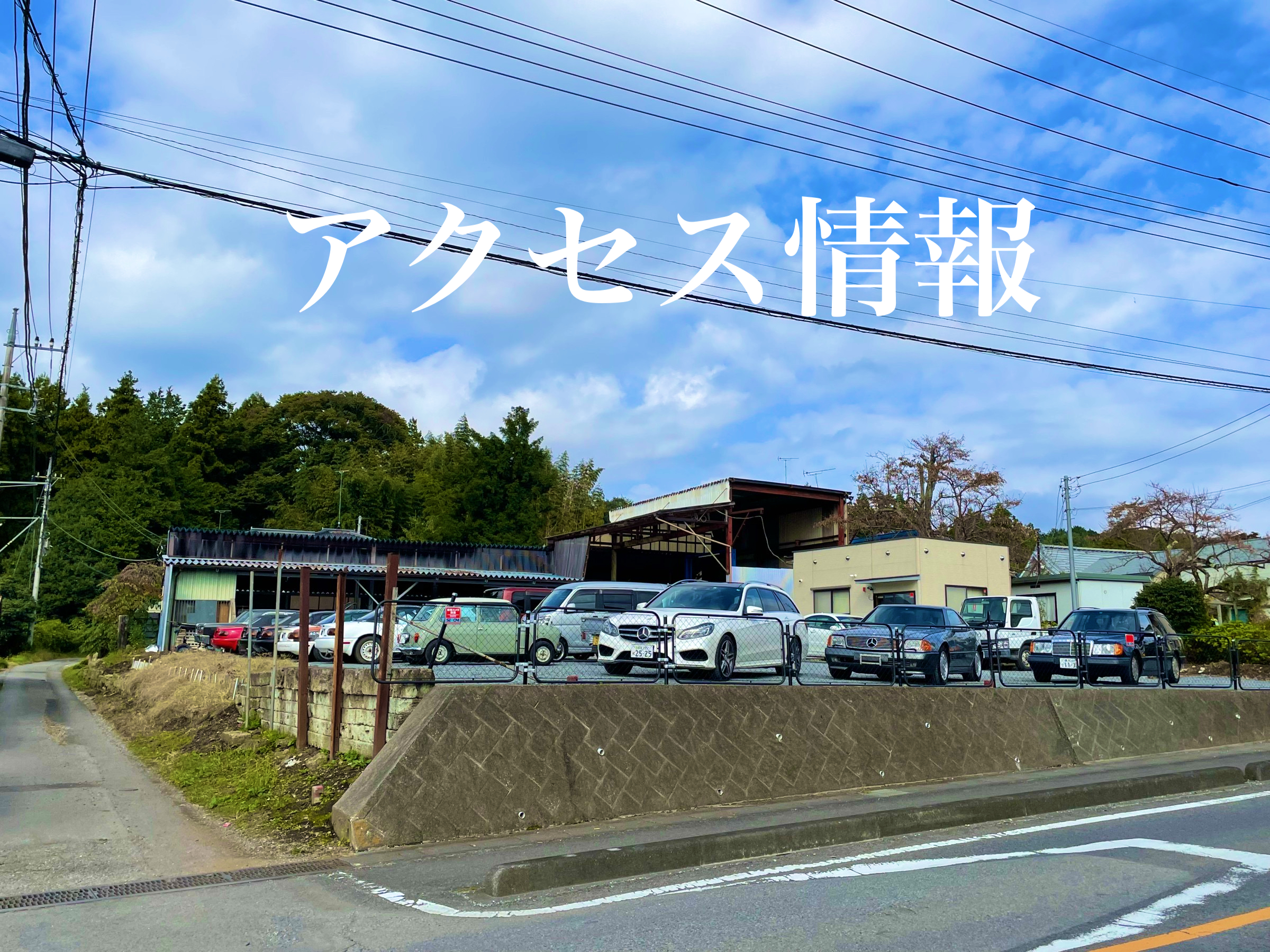画像掲載