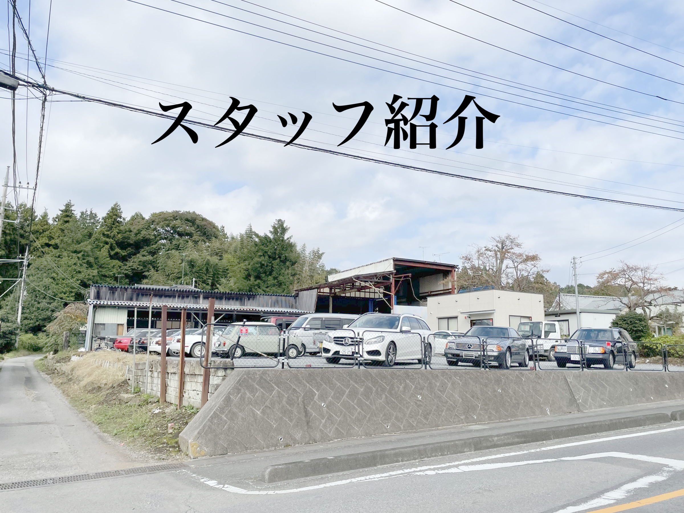 画像掲載